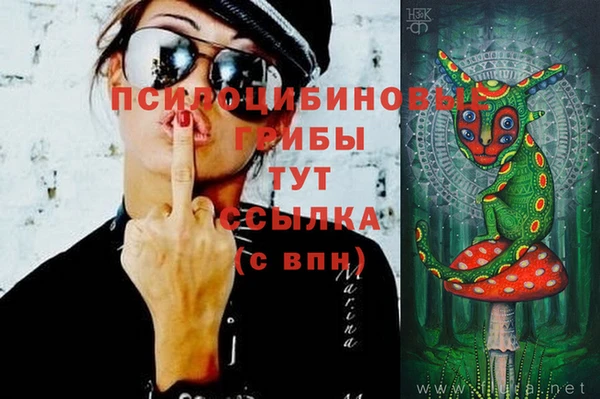 герыч Алзамай
