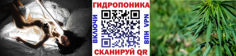 Канабис гибрид  купить   Кингисепп 