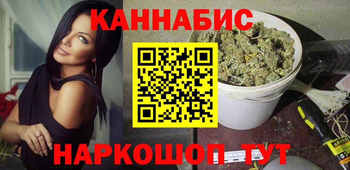 Каннабис конопля Кингисепп